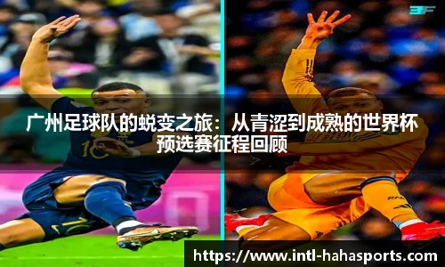 哈哈体育